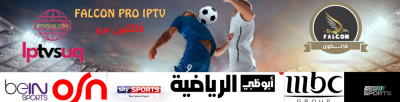 Falcon pro iptv